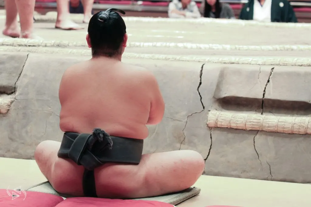 sumo tournament japan dohyo rikishi