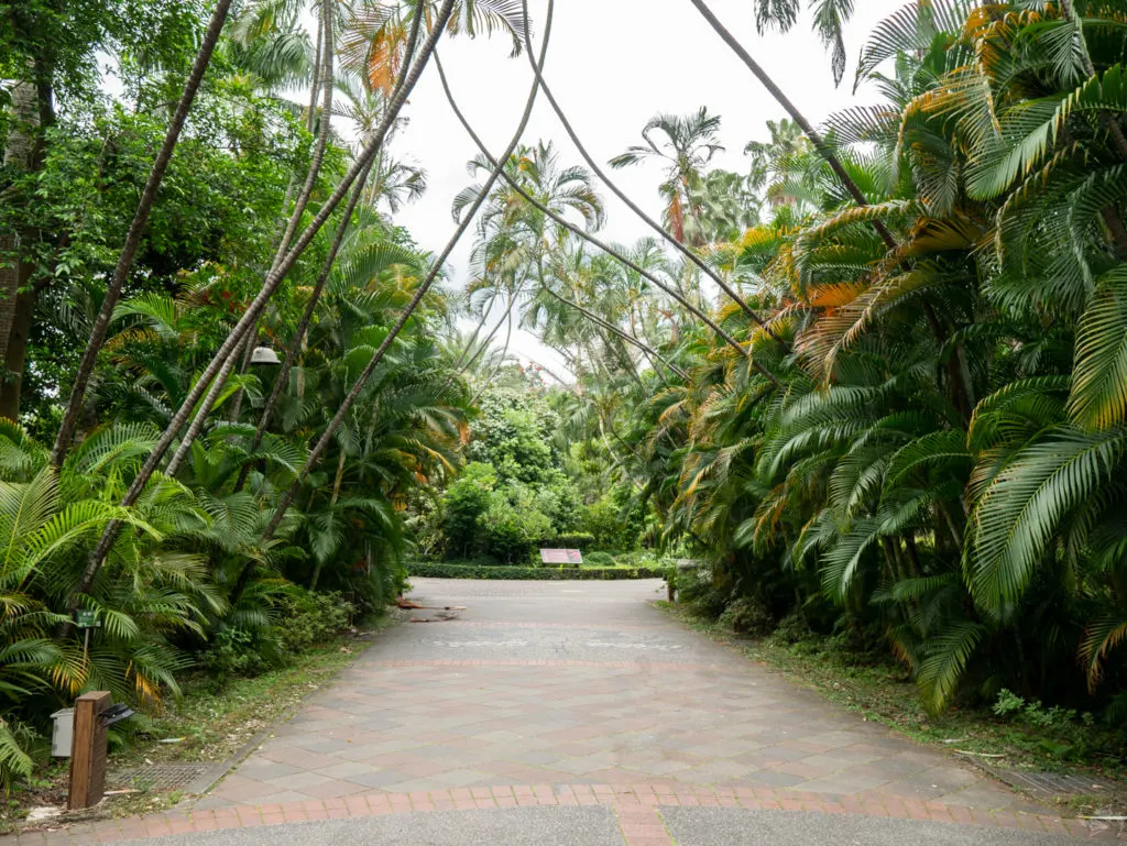 Taipei Botanical Garden