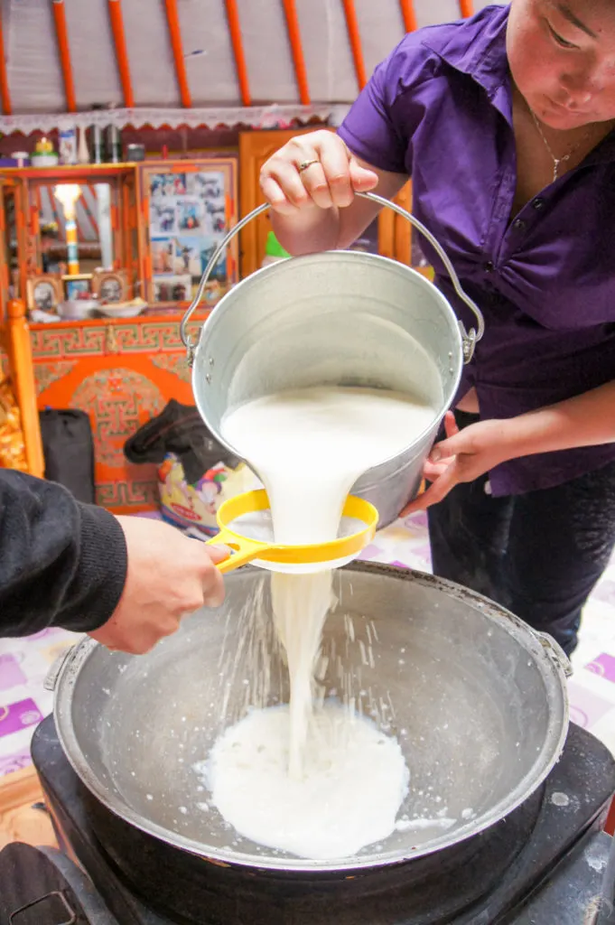 A Mongolian woman in a purple shirt stands in the center of a ger pouring fresh yak's milk from a metal bucket through a sieve being held by a guest. The milk collects in a metal bowl that sits atop the hearth.